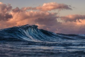 LA Finance